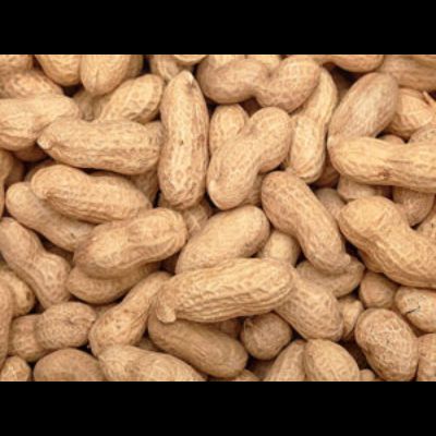 Kisan Agro Product Industries